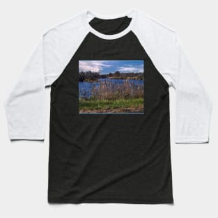 A Nice Day Baseball T-Shirt